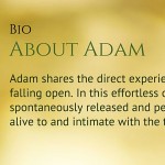 About Adam Chacksfield
